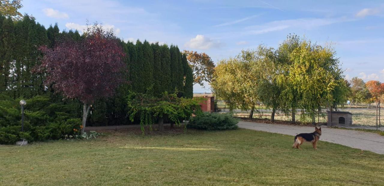Białowolskie Wzgórze #N/A Exterior foto
